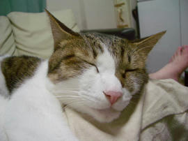 IMGP14662.jpg
