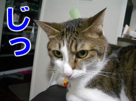 IMGP14679.jpg