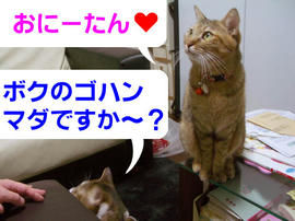 IMGP14680.jpg