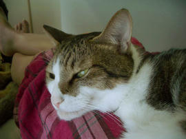 IMGP14740.jpg