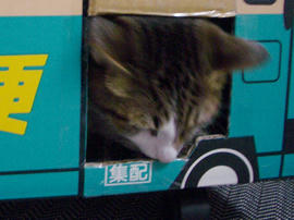 IMGP14757.jpg