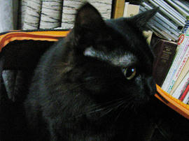 RMGP00002.jpg