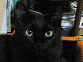 RMGP00005.jpg