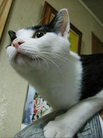 RMGP00006.jpg