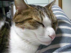 IMGP14897.jpg