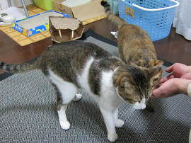 IMG00011.jpg