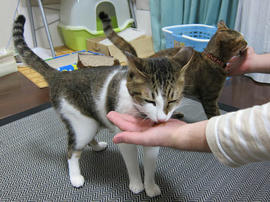 IMG00007.jpg