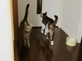 IMG00005.jpg