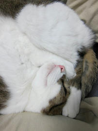 IMG00002.jpg