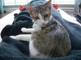 IMGP7567.jpg
