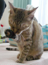 imgp7574.jpg