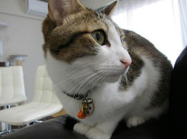 IMG00022.jpg