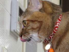 IMG00025.jpg