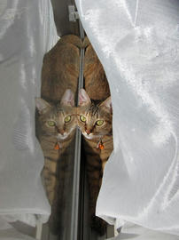 IMG00027.jpg