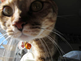 IMG00032.jpg