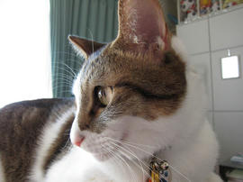 IMG00034.jpg