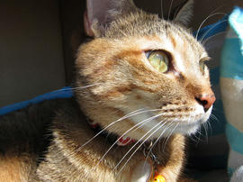 IMG00037.jpg