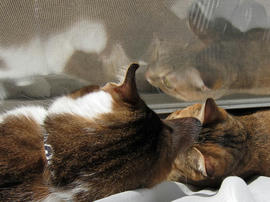 IMG00029.jpg