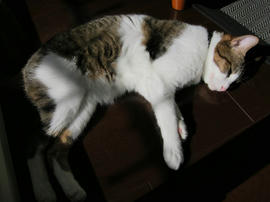 IMG00047.jpg