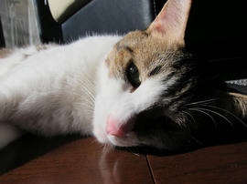 IMG00048.jpg