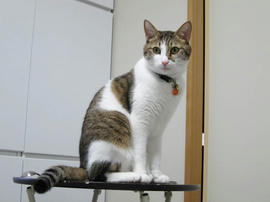 IMG00063.jpg