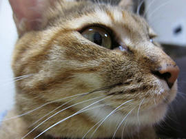 IMG00068.jpg