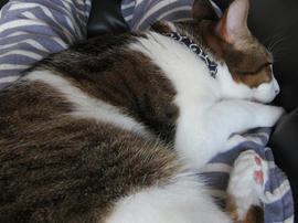 IMG00069.jpg