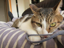 IMG00077.jpg