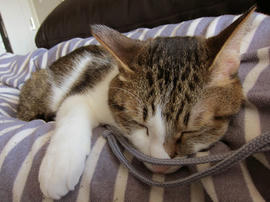 IMG00078.jpg