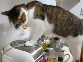 IMG00079.jpg