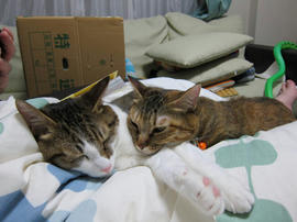 IMG00082.jpg