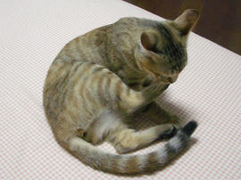 IMGP7824.jpg