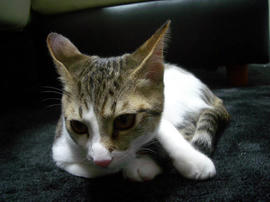 IMGP7801.jpg