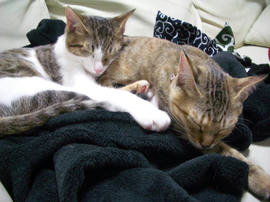 IMGP7805.jpg