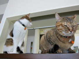 IMG00092.jpg
