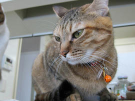 IMG00094.jpg
