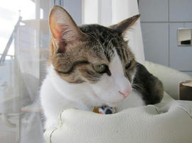 IMG00096.jpg