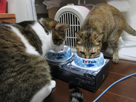 IMG00110.jpg