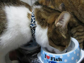IMG00113.jpg