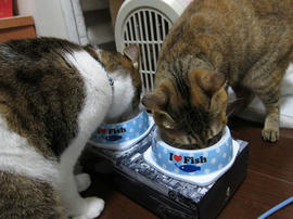 IMG00114.jpg