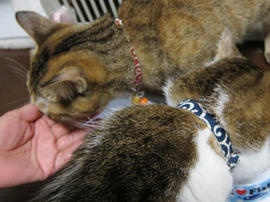 IMG00117.jpg