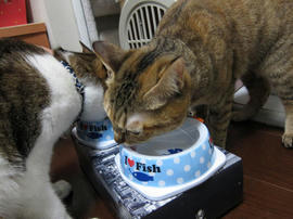 IMG00118.jpg