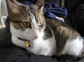 IMG00119.jpg