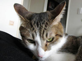 IMG00120.jpg