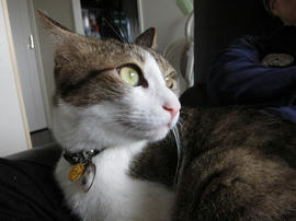 IMG00126.jpg