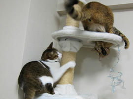 IMG00135.jpg