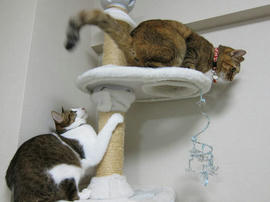 IMG00136.jpg
