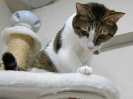 IMG00140.jpg