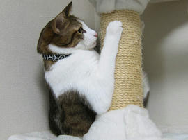 IMG00141.jpg