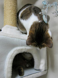 IMG00144.jpg
